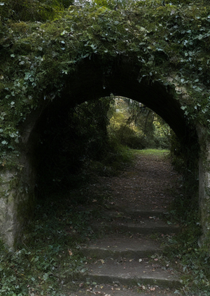 Шёпот листвы / Обучение генеративной нейросети