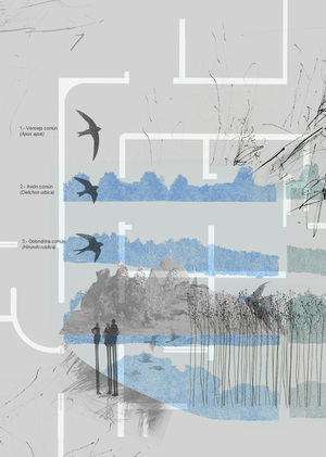 Над вечным простором
