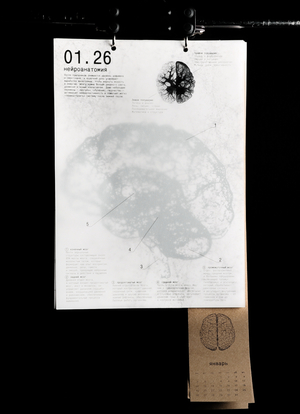 Календарь мозга