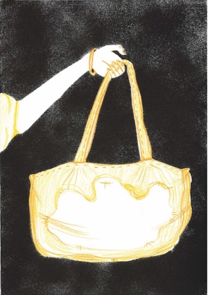 Любимая сумка