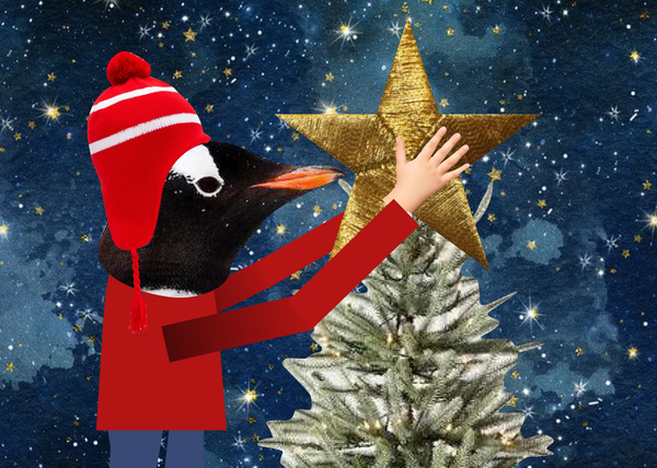 Новый год и Пико