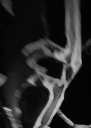 Creepy bug samplepack