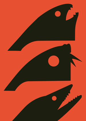 Рыболовный клуб «Reeliq»