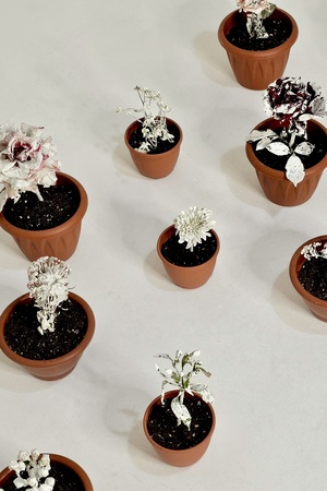 Сад (не)живых цветов