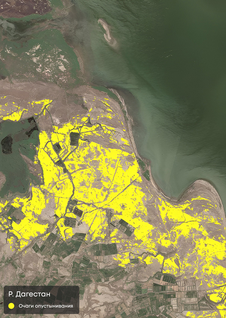 Информационная система «Опустынивание и его мониторинг»