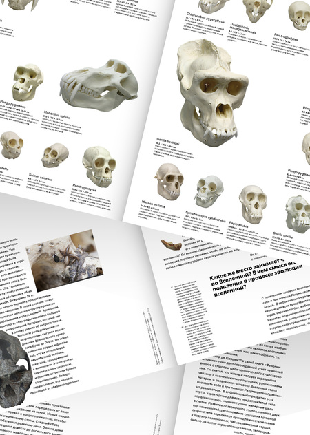 Основы типографики