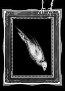 Форма и способ