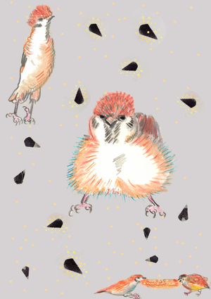 резвящиеся воробьи