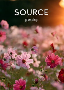 Глэмпинг Исток AI&nbsp;ребрендин