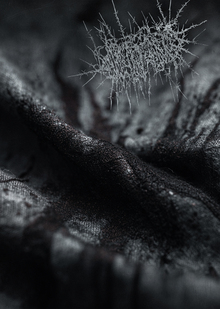 humanimalien — чёрный ворон