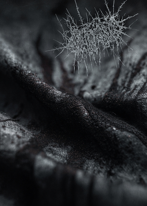 humanimalien — чёрный ворон