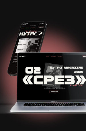 Лендинг для главы «Срез»