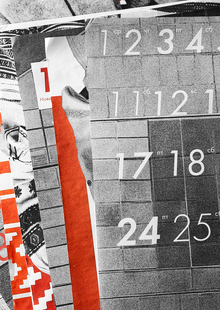 Полотно полей