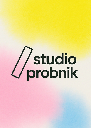 нейро-ребрендинг студии мастер-классов «пробник»