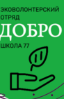 Реализация системы наставничества эковолонтеров-школьников