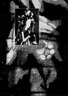 Современные тенденции в дизайне