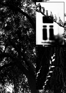 Город-курорт: Визуальный код Волжского берега