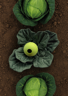 Развивающая игрушка для собак