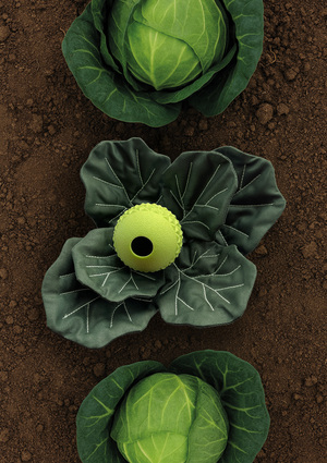 Развивающая игрушка для собак