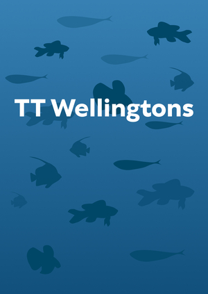TT Wellingtons