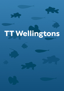 TT&nbsp;Wellingtons