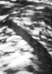 Природный контекст