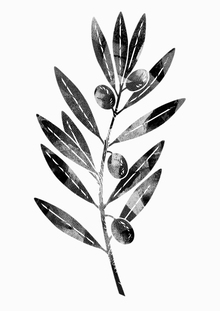 Письмо № 5