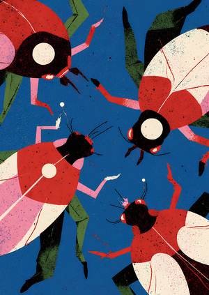 А когда весна?