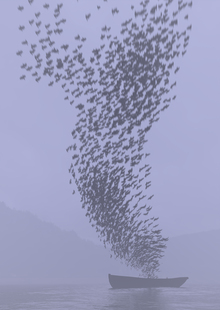 houdini | crows houdini | crows