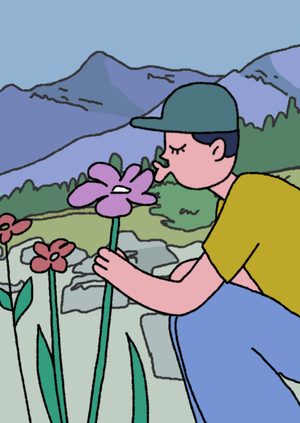 Разработка анимационного ролика