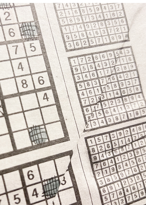 Большой сон о сетке