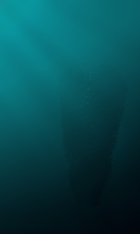 Particle Simulation | Подводный мир