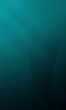 Particle Simulation | Подводный мир Particle Simulation | Подводный мир