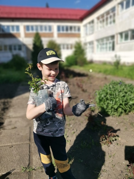 Природа рядом