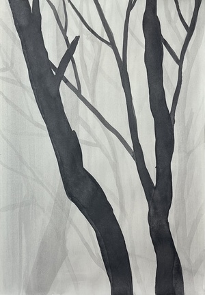 Линии и формы