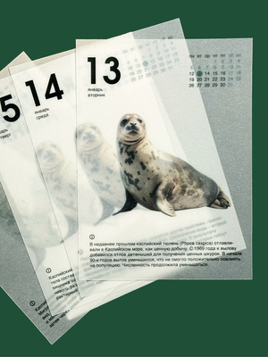 Календарь «Красная Книга»
