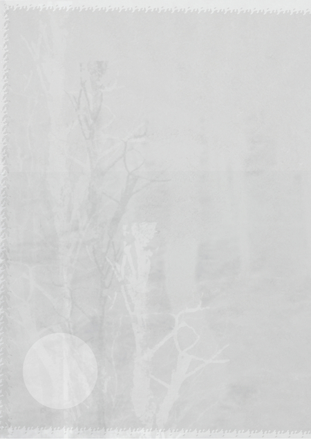 лунный пряник «луч»