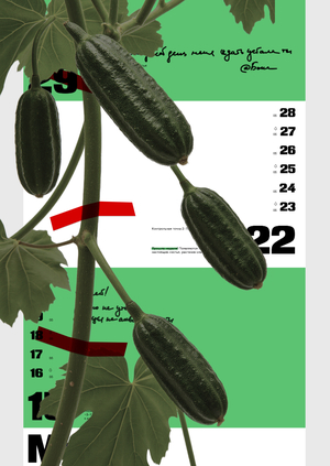 Календарь для растений