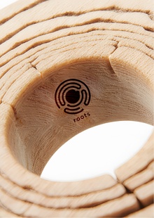 Roots AI&nbsp;branding
