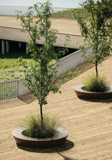 Вывод визуального исследования