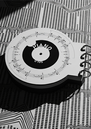 Книга — альбом «Бумажный винил»