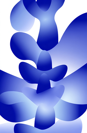 Ребрендинг бренда «SHELLTER»