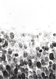 между пальцев