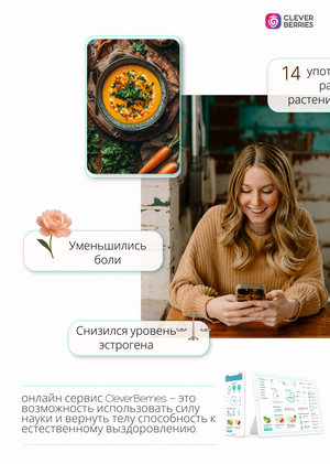 Онлайн Сервис Clever Berries