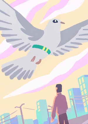 Хвост. Ребрединг. 