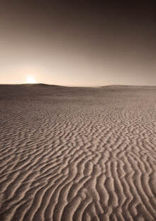 Desert LoRA