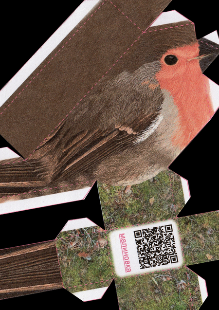 Птицы улетают зимовать