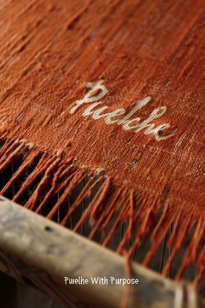 Puelche (проект с использованием ai)