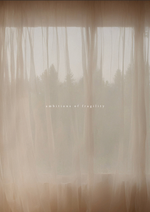 ambitions of fragility