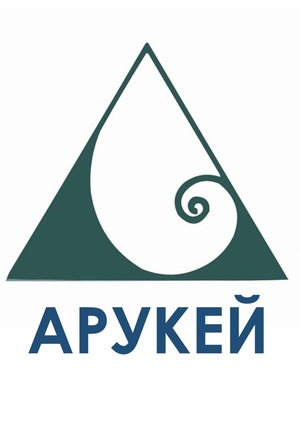 Инновационные очистители воздуха Арукей